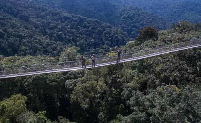 Nyungwe Canopy Walk